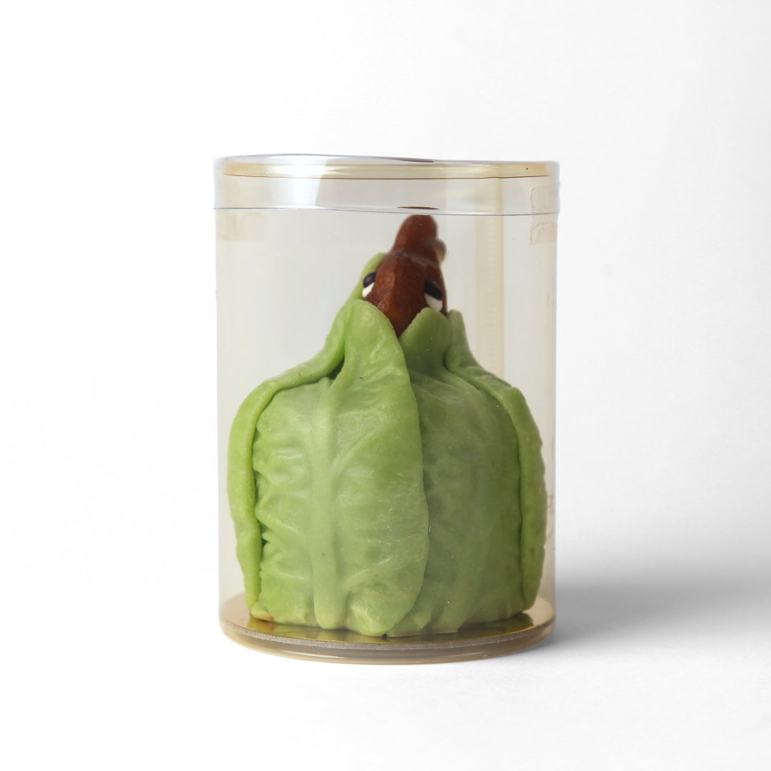 Easter Bunny in Cabbage Leaves